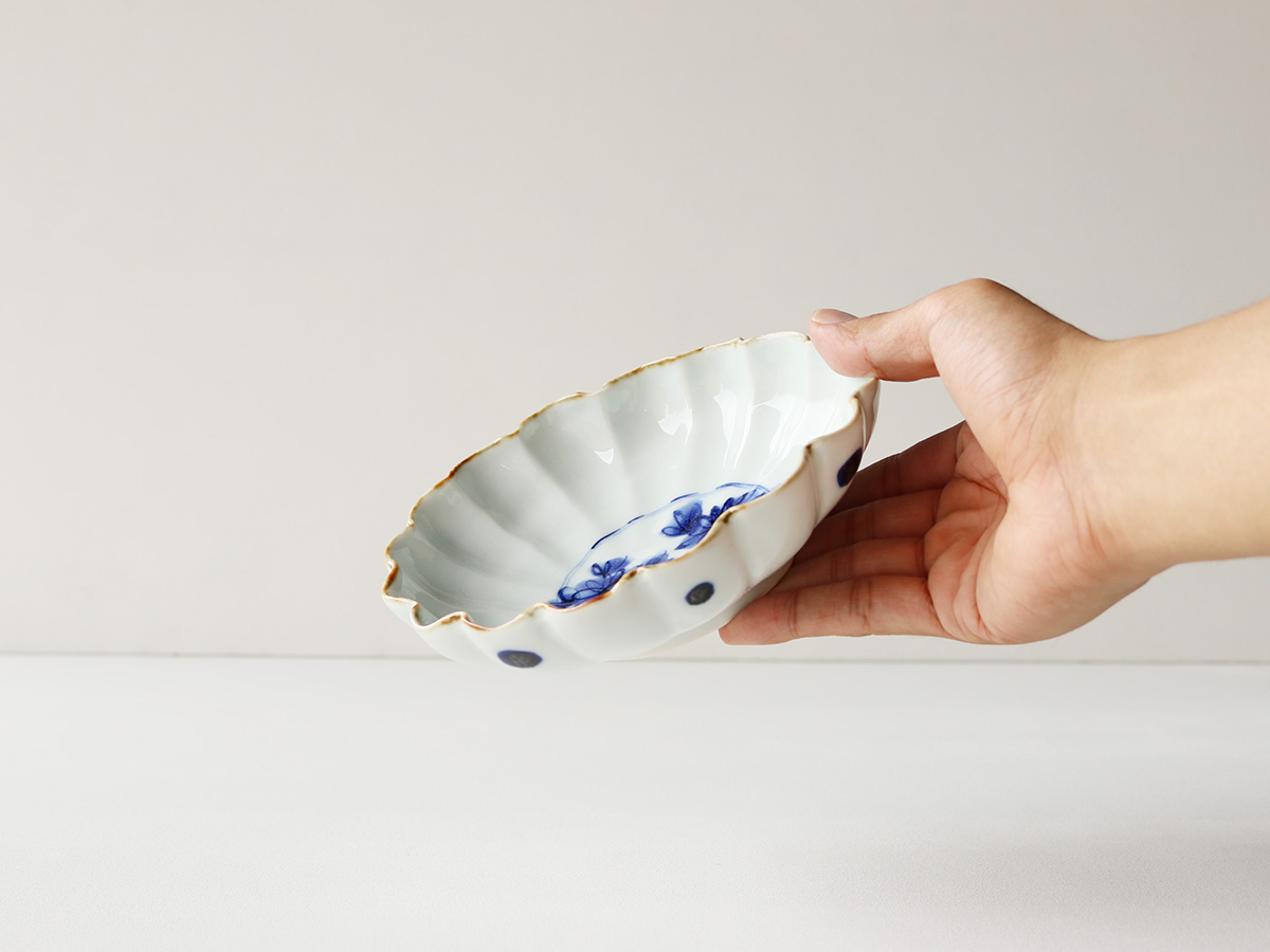 赤絵/染付 菊型 浅鉢 波佐見焼